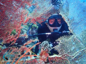 A diver peeks through some coral fans at a dive site in Northwest Bali.