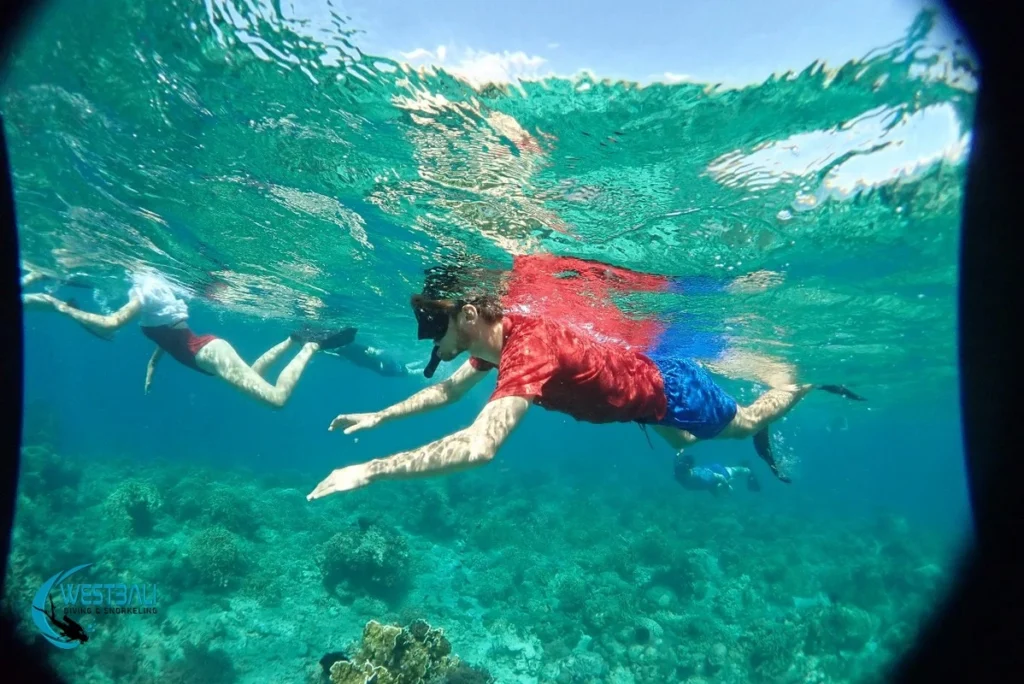 People enjoy a snorkeling trip to Menjangan Island with West Bali Diving & Snorkeling.